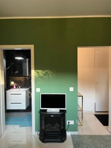 奎克博恩Guest room 1的客厅设有绿色墙壁,壁炉上配有电视