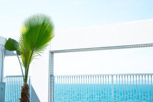 松山瀬戸内リゾートホテル的游泳池旁的棕榈树