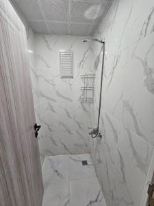 安卡拉Esenboğa Yıldırım Beyazıt Apart的一间设有大理石墙淋浴的浴室