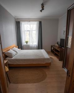 里加Nice&cozy flat No7的一间卧室设有一张床和一个窗口