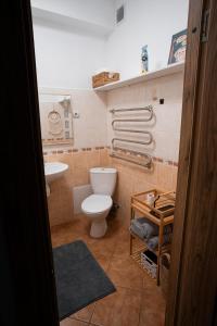 里加Nice&cozy flat No7的一间带卫生间和水槽的浴室