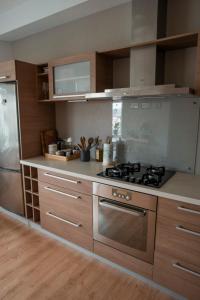 里加Nice&cozy flat No7的厨房配有炉灶和冰箱。