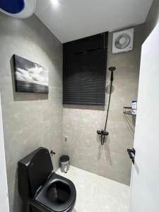 哈伊勒DESERT ROSES 2的浴室设有黑色的卫生间和窗户。