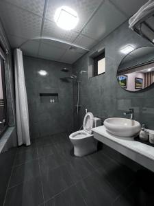 宁平Lotus Hotel Ninh Bình的一间带卫生间和水槽的浴室