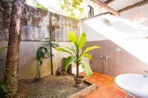 Tân PhúCat Tien Farm Stay的一间带水槽和植物的浴室