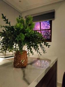 富国Sunset Hotel Phu Quoc - welcome to a mixing world of friends的花瓶里的植物,坐在柜台上