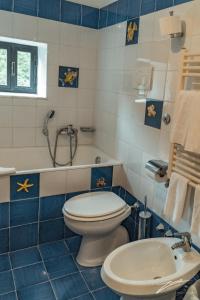 特拉蒙蒂Tramonti Green的蓝色和白色的浴室设有卫生间和水槽