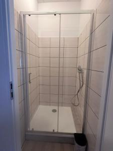 波兹南Apartamenty Gołębia-Economic的浴室里设有玻璃门淋浴