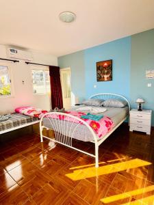蓬塔杜索尔Casa BB&Djassi的一间卧室设有两张床和蓝色的墙壁