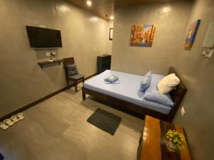公主港Wilnags Inn Puerto Princesa near airport的一间带床和电视的客厅