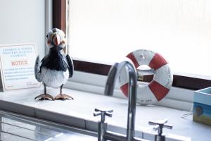 SpittalBeach House in Berwick Upon Tweed - 2 Double Bedrooms的鸟坐在水槽旁的柜台上