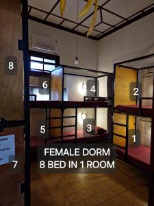 玛琅SEMERU HOSTEL MALANG的一间设有四张双层床的客房,房间里设有女性宿舍床位