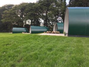 StranocumThornfield Farm Luxury Glamping Pods, The Dark Hedges, Ballycastle的公园内草场,有圆顶结构