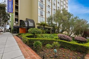 旧金山旧金山康福特湾酒店的灌木丛和鲜花丛前的花园