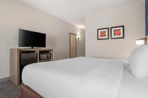 格林维尔Comfort Inn Greenville I-65的配有一张床和一台平面电视的酒店客房