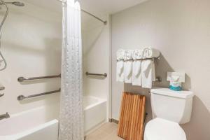 鲍伊鲍伊会议中心康福特茵酒店的浴室配有白色卫生间和淋浴。