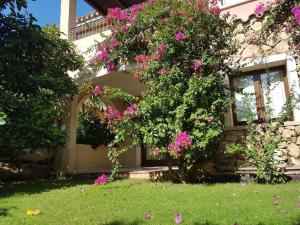 维拉西米乌斯Hotel Mariposas的旁边是一座粉红色花卉的房子