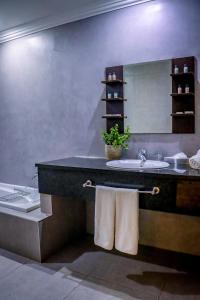 PelindabaLa Joya Lodge Conference Centre and Spa的一间带水槽、卫生间和镜子的浴室