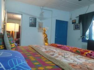达兰萨拉The Oasis Terrace at Rana's Niwas的一间卧室配有一张床和一个蓝色的门