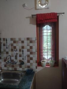 达兰萨拉The Oasis Terrace at Rana's Niwas的厨房设有水槽和窗户。