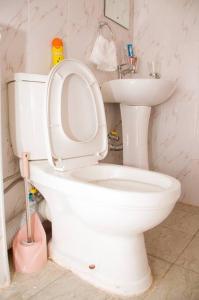 RuiruAdeti Homestay的浴室配有白色卫生间和盥洗盆。