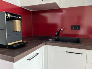 罗斯托克Exklusives Business & Living Apartment的厨房配有炉灶、水槽和红色墙壁。