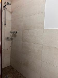 罗斯托克Exklusives Business & Living Apartment的一间带淋浴的浴室和瓷砖墙