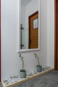 斯兰默多瓦Vila Pufu的墙上的镜子,架子上有两个植物