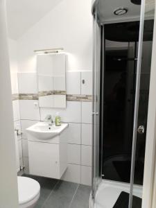 拉德福尔姆瓦尔德Hotel am See Radevormwald的白色的浴室设有水槽和淋浴。