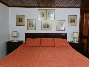 Quinta da Mochada的一间卧室配有一张带橙色床单和墙上照片的床。