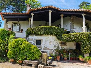 Quinta da Mochada的前方常春藤的房子