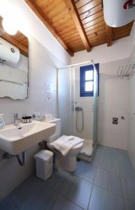 阿诺梅拉Mykonos Pro-care Suites的一间带水槽、淋浴和卫生间的浴室