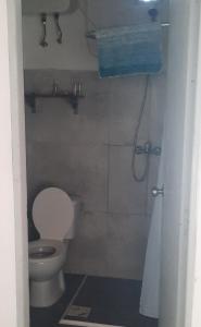 梅塞德斯Confortable apartamento-monoambiente en Mercedes的一间带卫生间和淋浴间的浴室