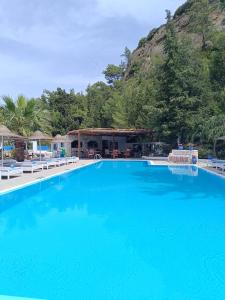 依克希亚Trees Art Hotel Suites的一个大蓝色游泳池,背景是一座山