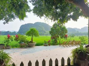 宁平Tam Coc Sunshine Homestay的一个带围栏的花园,享有田野的景色