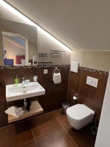 罗蒙La Belle-Croix的一间带水槽、卫生间和镜子的浴室