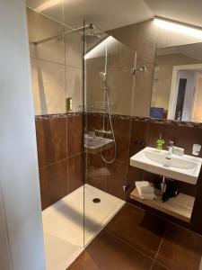罗蒙La Belle-Croix的带淋浴和盥洗盆的浴室