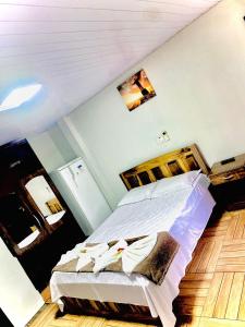 伊瓜苏Pousada Cidade Linda的一间卧室配有一张大床和木制床头板