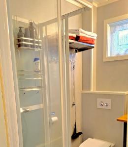贝勒沃格Berlevåg Apartment的浴室设有玻璃淋浴间和卫生间