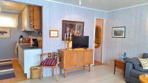 贝勒沃格Berlevåg Apartment的客厅配有木柜上的电视