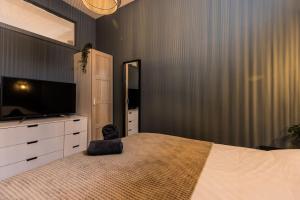 海牙Apartment Viognier的一间卧室配有一张大床和电视