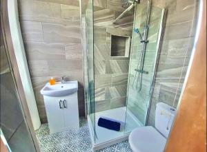 伯恩茅斯Blue Cheetah Lemur Lodge的带淋浴、卫生间和盥洗盆的浴室