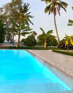 BunjuLions Zanzibar SUITE&APARTEMENT with private pool - LUXURY ON THE SEASIDE的一座种植了棕榈树的蓝色游泳池