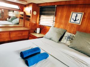 巴拿马城Amazing Vintage Yacht in the best area of Panama!的一间卧室配有一张带蓝色枕头的床。