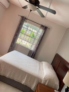 布里奇敦Darosemar的一间卧室配有一张床和吊扇