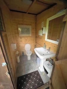 格兰瑟姆WoodLands Basic Bell Tent 3的一间带卫生间和水槽的小浴室