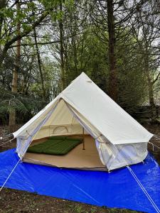 格兰瑟姆WoodLands Basic Bell Tent 3的帐篷位于蓝色的海豹上