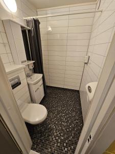 巴特斯峡湾Båtsfjord Royal Hotell的一间带卫生间和水槽的浴室