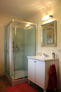 塞济斯菲厄泽Árblik-Home away from home的带淋浴、盥洗盆和镜子的浴室