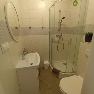 库多瓦-兹德鲁伊Apartamenty Gościnne Idylla的带淋浴、盥洗盆和卫生间的浴室